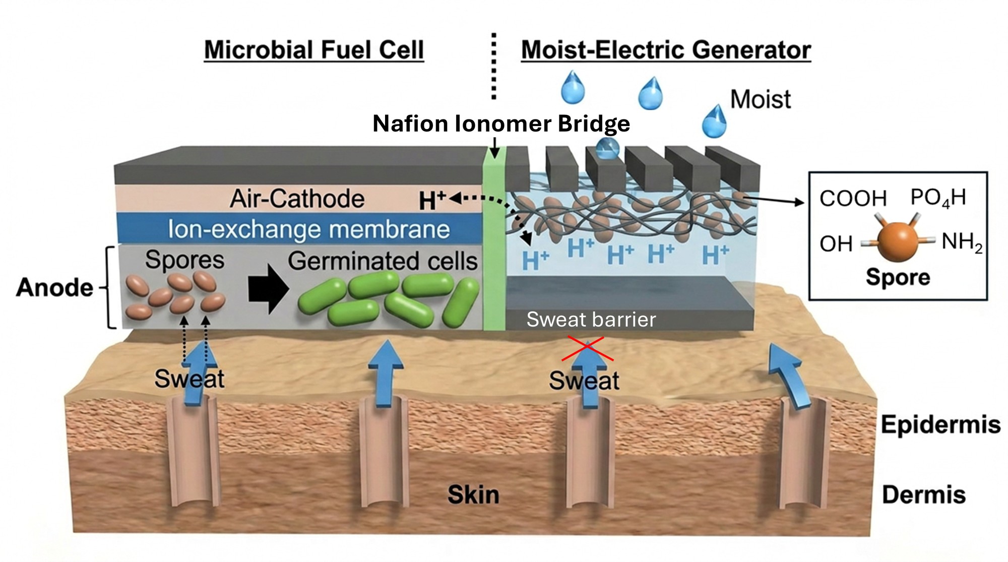 conceptual image of our microbial power